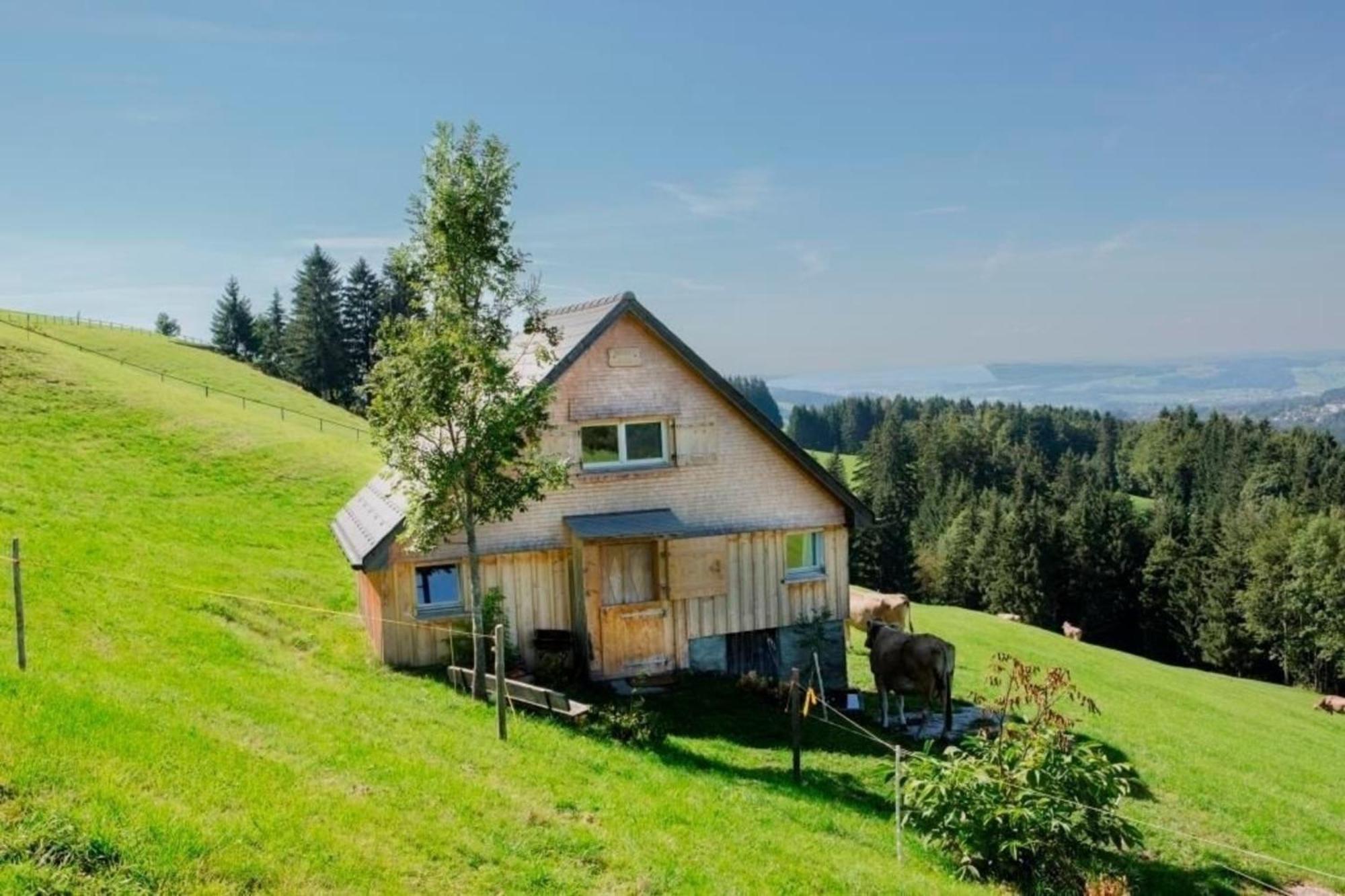 Bauernhof Fendrig - Neue Wohnung Haslen Exterior photo