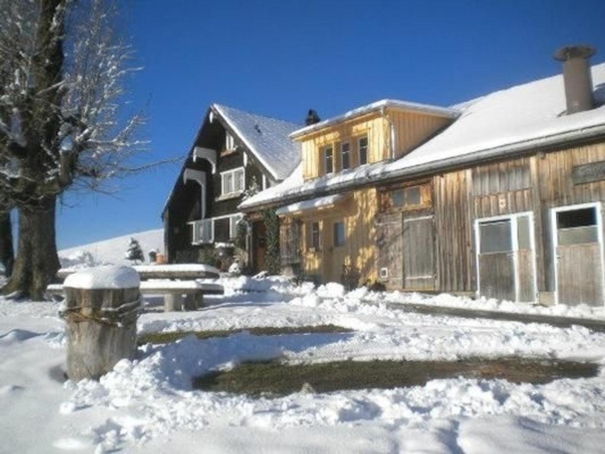 Bauernhof Fendrig - Neue Wohnung Haslen Exterior photo